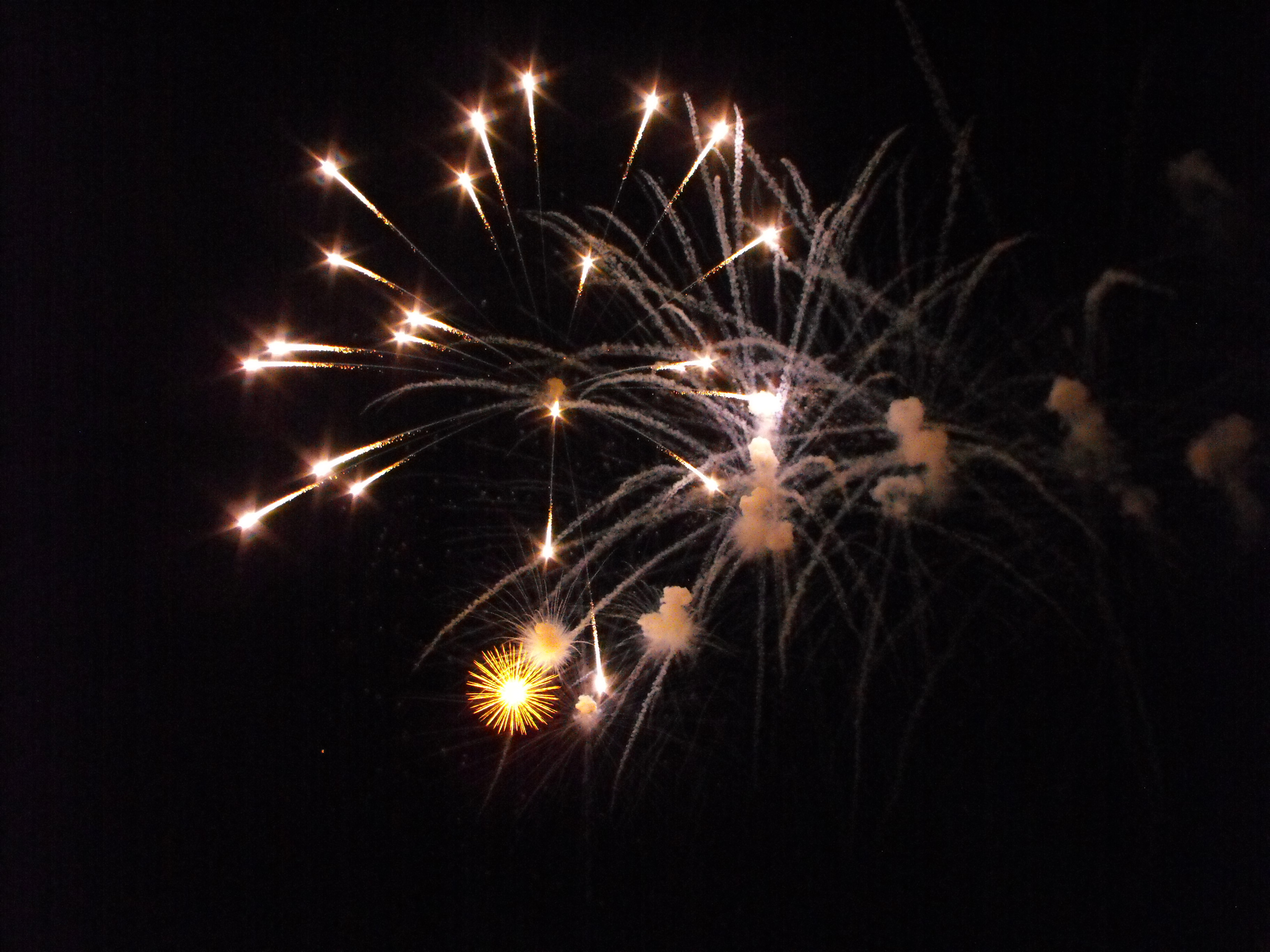 ./2010/Fourth of July/4th July Fireworks Wilm 0101.JPG